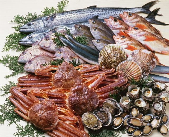 石狩エリアで食品輸送に強い運送会社をお探しの方へ～株式会社ノースウイングが選ばれる理由～